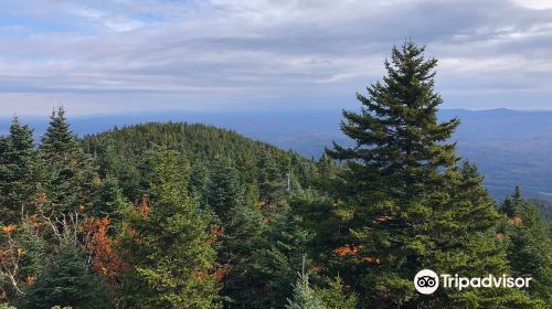 Ascutney State Park