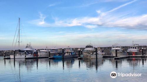 Augusta Boat Harbour