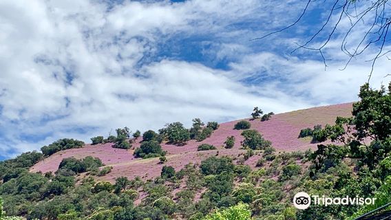 Fort Tejon State Historic Park