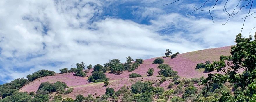 Lebec
