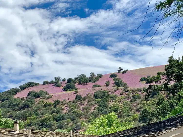 Lebec