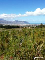 Helderberg Nature Reserve