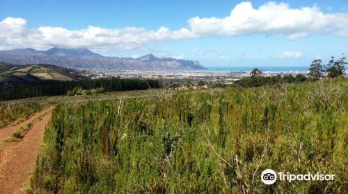 Helderberg Nature Reserve