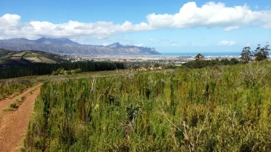 Helderberg Nature Reserve