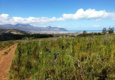 Helderberg Nature Reserve