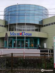 Montdeus Hidakuraiyama Rest Area