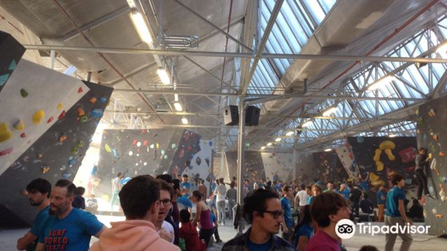 Monk Bouldergym Rotterdam