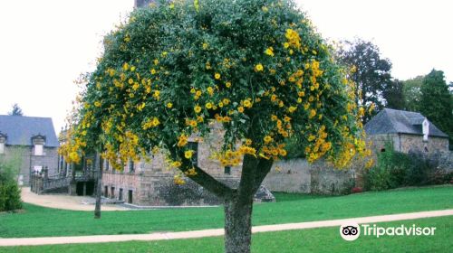 Castle des Montgommery