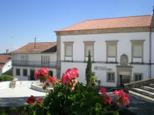 Fundacao Manuel Cargaleiro