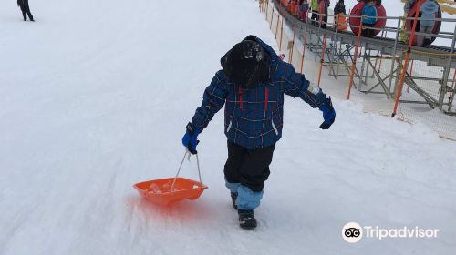 Hiruzen Kogen Center & Joyful Park