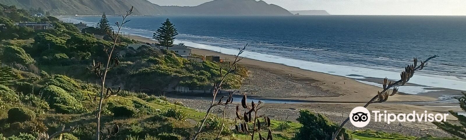 PaekakarikiTravel services