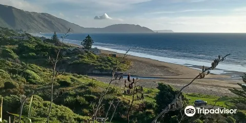 伊麗莎白女王公園