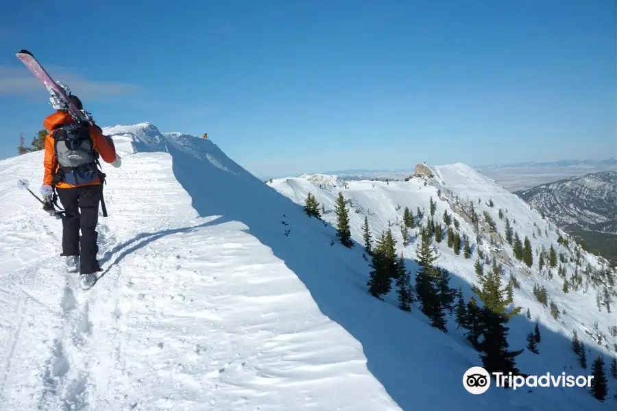 Bridger Bowl