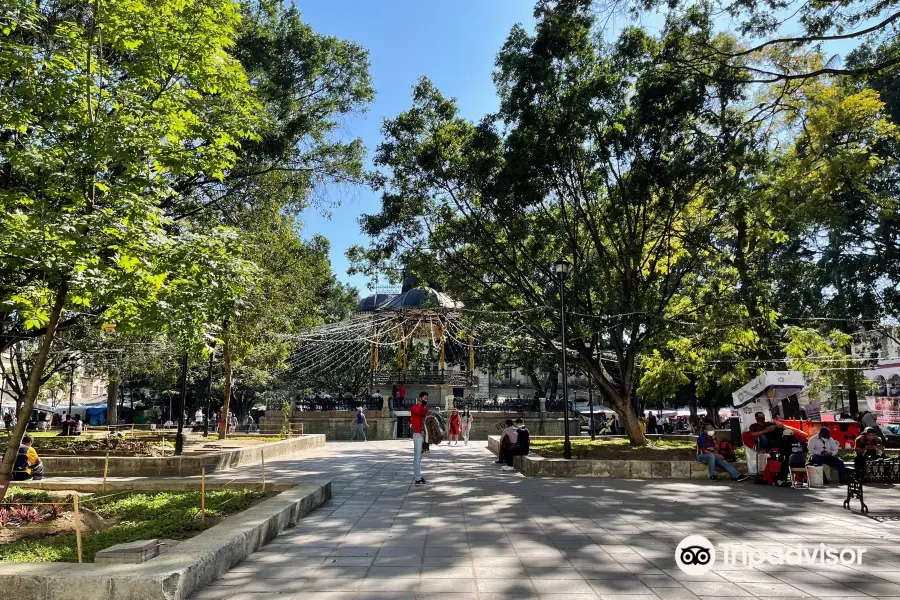 Parque Juarez El Llano