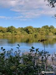 Rainton Meadows Nature Reserve & Visitor Centre