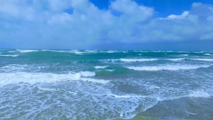 Hotels in Dhanushkodi