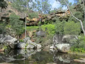 Blackdown Tableland National Park