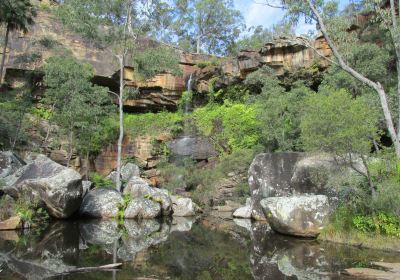 Blackdown Tableland National Park