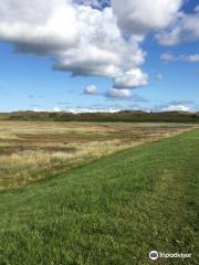 Parque nacional Dunas de Texel