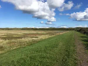 テッセル砂丘国立公園