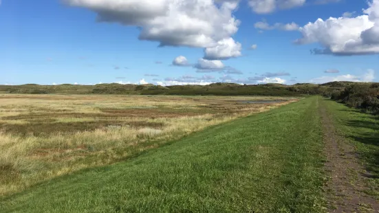 Nationaal Park Duinen van Texel