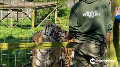 Wingham Wildlife Park