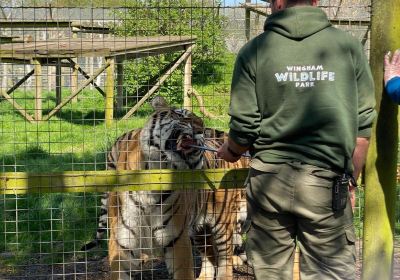 Wingham Wildlife Park