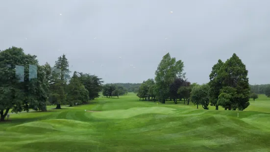 Limerick Golf Club (Cúrsa Gailf Luimnigh)