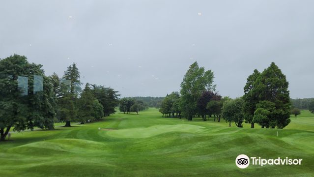 Limerick Golf Club (Cúrsa Gailf Luimnigh)