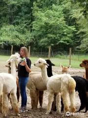 L & R Alpaca Haven Farm