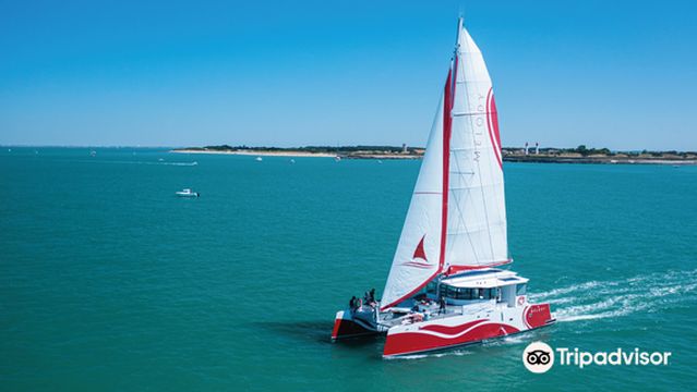 Croisières Inter-îles