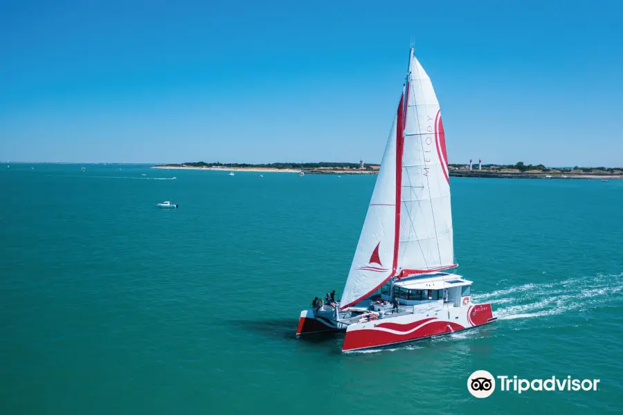 Croisières Inter-îles