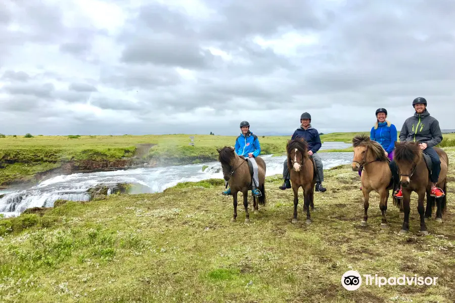 Hella Horse Rental