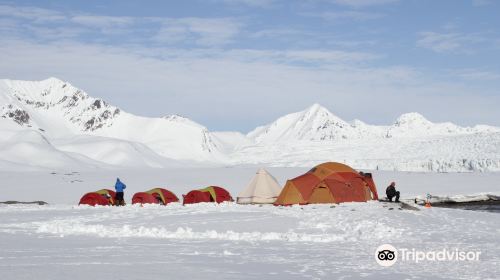 Svalbard Wildlife Expeditions