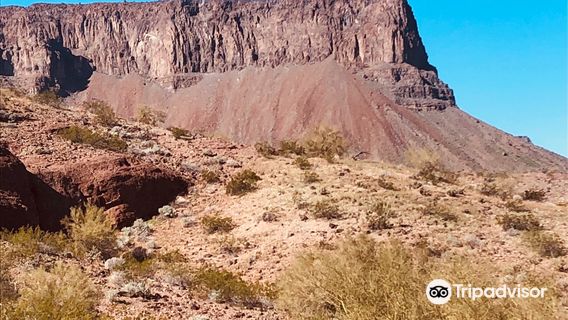 Bill Williams River National Wildlife Refuge