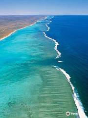 Ningaloo Reef