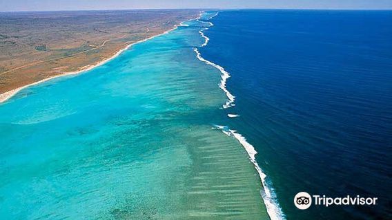 Ningaloo Reef