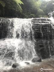 Vattakanal Waterfalls