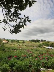 Centro Botanico Moutan - Il Giardino delle Peonie