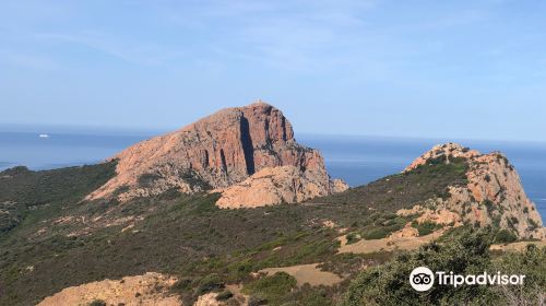 Calanques de Piana