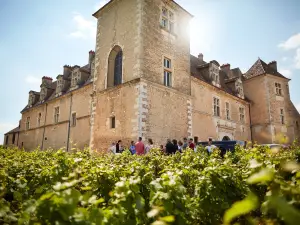 Chateau vougeot