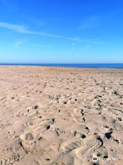 Platja De Canet d'en Berenguer