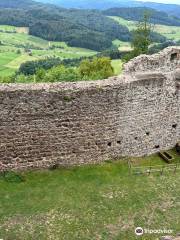 Burg Hohengeroldseck