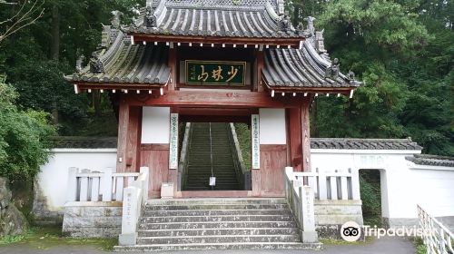 少林山 達磨寺