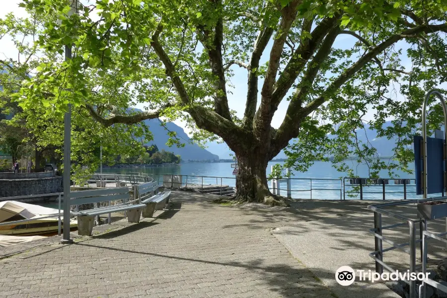 Vieille-Ville de Montreux