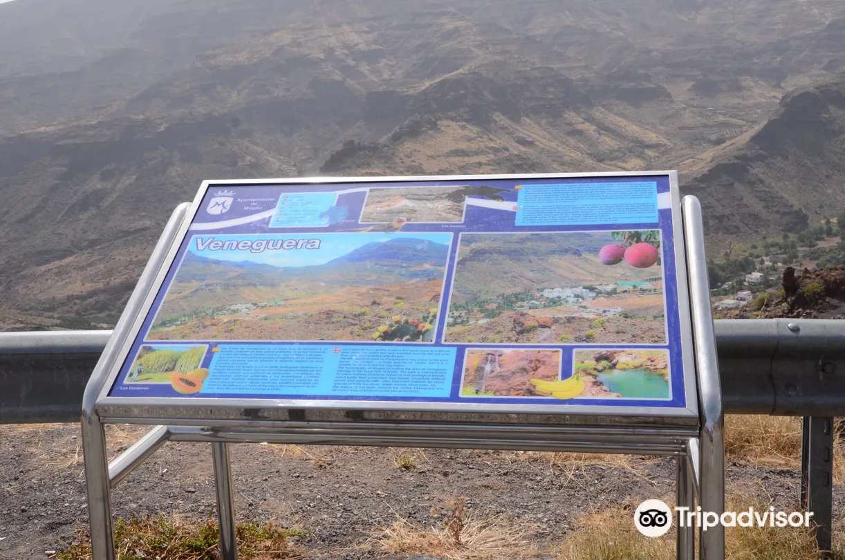 5_Los Azulejos de Veneguera