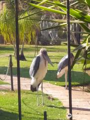 Mystic Monkeys & Feathers Wildlife Park