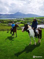 Carrowholly Stables & Trekking Centre