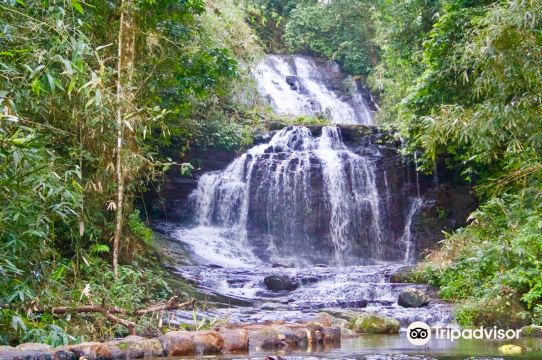 Hotels Near Chittar Town, Pathanamthitta - Book with Free Cancellation ...