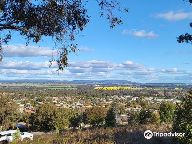 Parkes